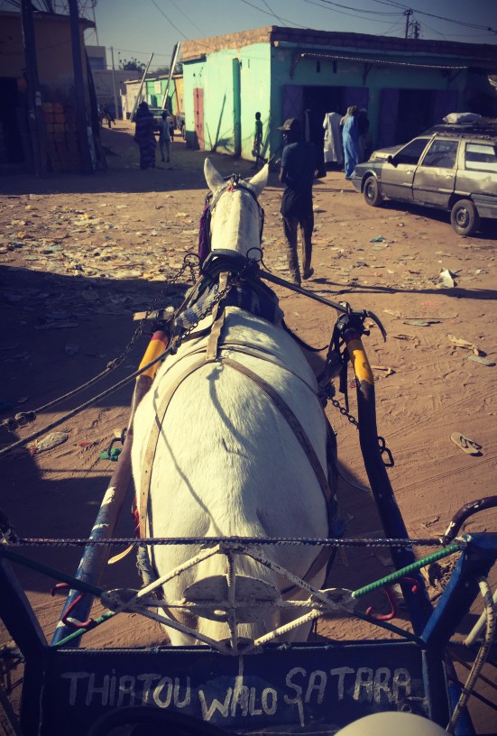 Vue depuis la charrette à cheval dans Rosso en Mauritanie #Off2Africa 18 Nouakchott Saint-Louis © Gilles Denizot 2016