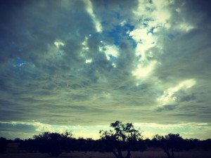 Ciel nuageux et arganier #Off2Africa 7 Essaouira Agadir Maroc © Gilles Denizot 2016