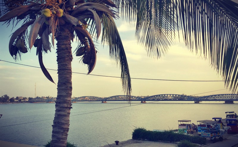 Palmier au bord du fleuve Sénégal et pont Faidherbe