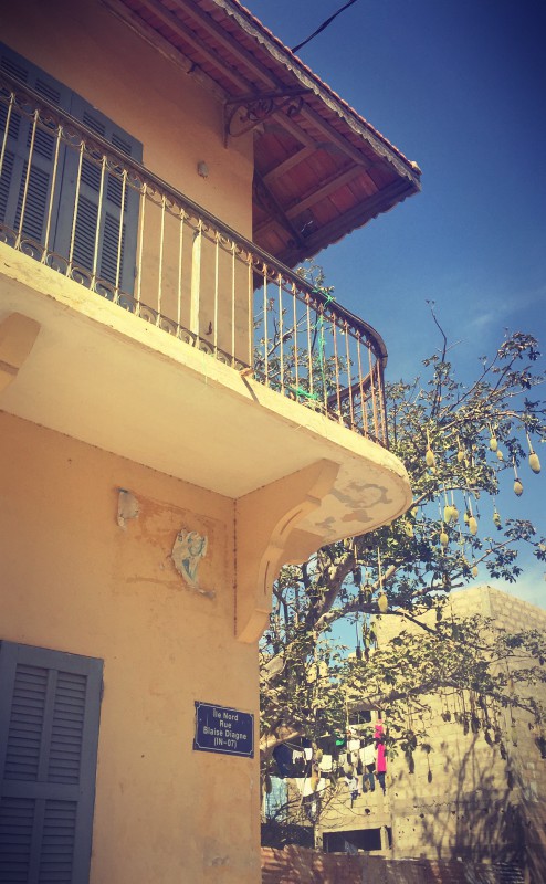 Une maison coloniale jaune avec son balcon et un arbre aux fruits étranges derrière #Off2Africa 22 Saint-Louis Sénégal © Gilles Denizot 2016