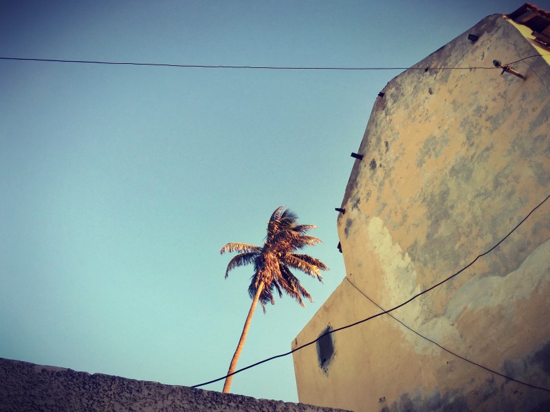 Façade jaune décrépie, fils électriques et palmier sur ciel bleu #Off2Africa 21 Saint-Louis Sénégal © Gilles Denizot 2016