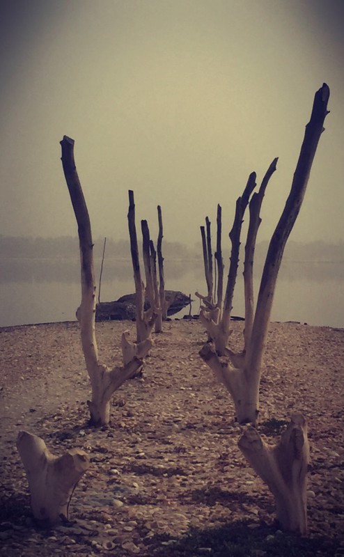 Vue des bâtons de bois plantés dans le sol face au lac Retba #Off2Africa 30 Lac Retba Sénégal © Gilles Denizot 2016