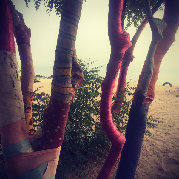 Un arbre dont branches sont emballées dans du tissu multicolore #Off2Africa 31 M'bour Sénégal © Gilles Denizot 2016