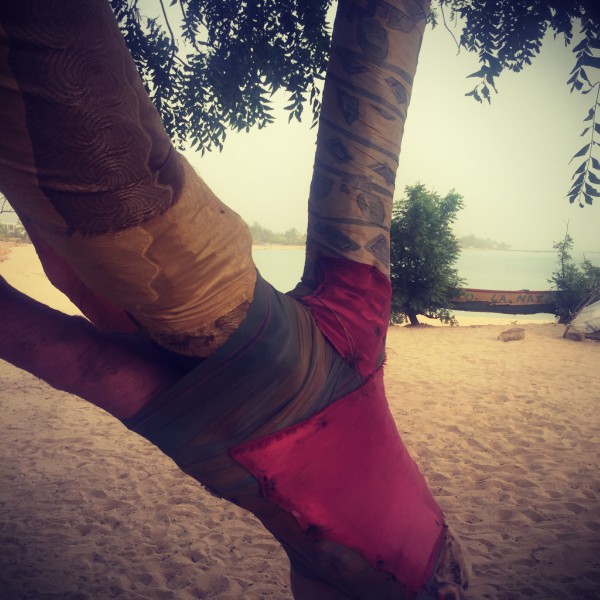Sur la plage de sable, un arbre est enveloppé de tissus multicolores #Off2Africa 31 M'bour Sénégal © Gilles Denizot 2016