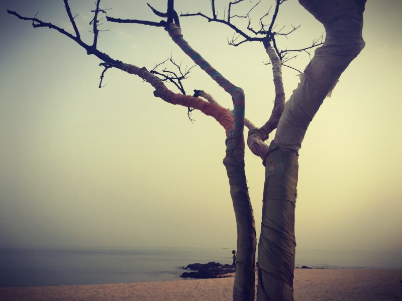 Sur la plage de sable, un arbre aux branches enveloppées dans des tissus colorés #Off2Africa 31 M'bour Sénégal © Gilles Denizot 2016