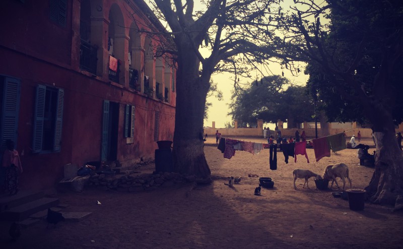 Dans une cour de maison, du linge pend entre deux arbres sous lesquels mangent des chèvres #Off2Africa 29 Gorée Sénégal © Gilles Denizot 2016