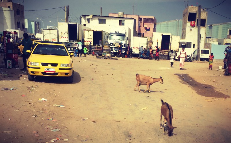 Scène de vie à Yoff, rues ensablées, chèvres dans la rue, taxi jaune, camions, gens #Off2Africa 44 Dakar Ziguinchor Sénégal © Gilles Denizot 2017