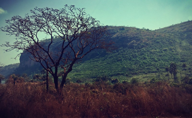 Un arbre et une colline en Guinée #Off2Africa 59 Kindia Guinée © Gilles Denizot 2017
