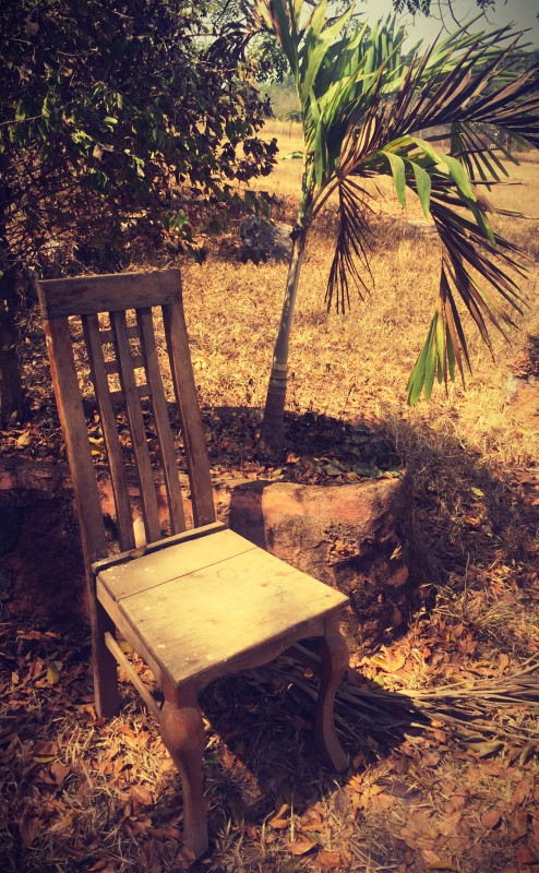 Une chaise en bois à côté d'un jeune palmier #Off2Africa 61 Kindia Guinée © Gilles Denizot 2017