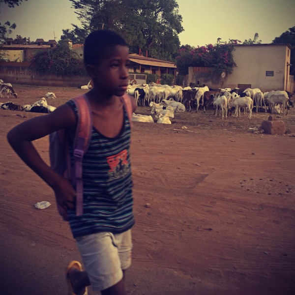 Un garçon marche dans une rue ensablée de Bamako, devant un troupeau de chèvres #Off2Africa 85 Bamako Mali © Gilles Denizot 2017