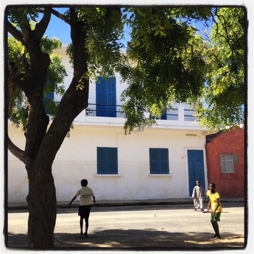 Des enfants jouent dans une rue, sous un grand arbre, devant une maison blanche aux volets bleus #Off2Africa 23 Saint-Louis Sénégal