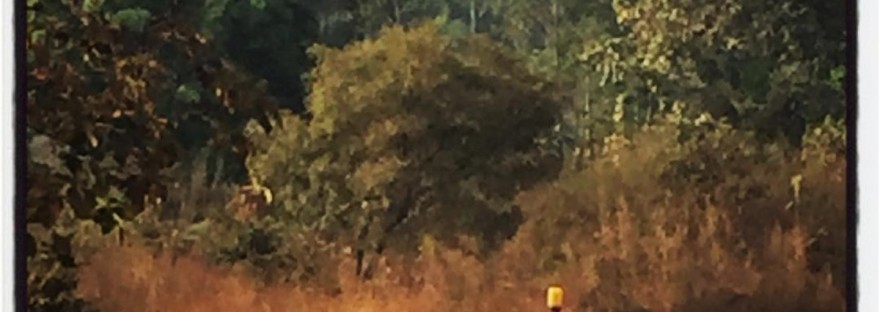 En Guinée, une route en terre rouge, des arbres à perte de vue et deux femmes marchant, des récipients sur la tête #Off2Africa 61 Kindia Guinée © Gilles Denizot 2017