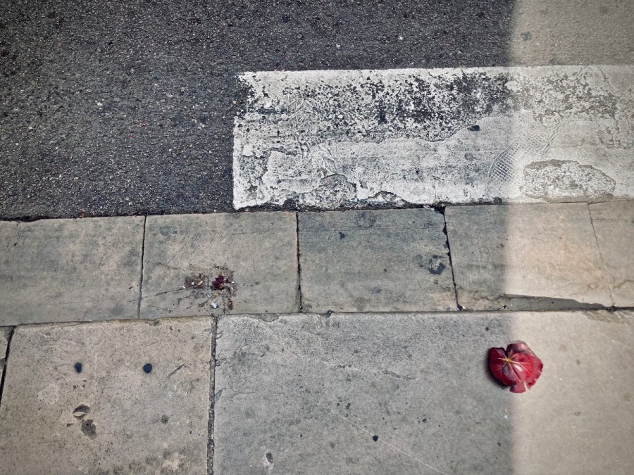 Une feuille rouge fanée sur un trottoir grisâtre © Gilles Denizot 2022