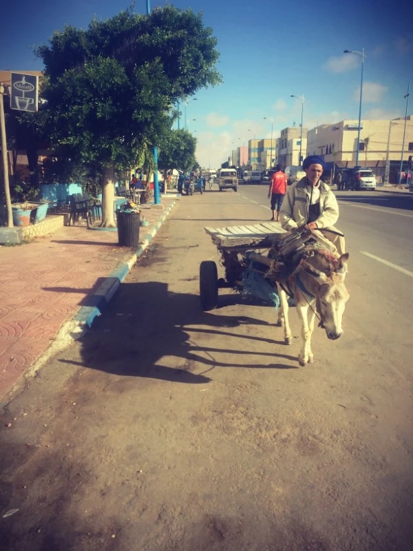 Un homme et sa charrette dans une rue #Off2Africa 10 Tarfaya Maroc © Gilles Denizot 2016