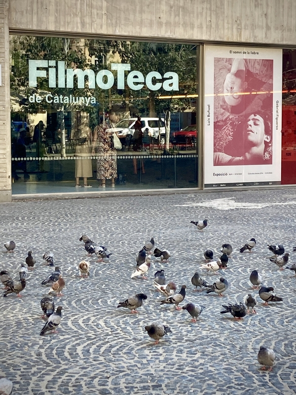 Façade de la FilmoTeca de Barcelone, des pigeons au premier plan