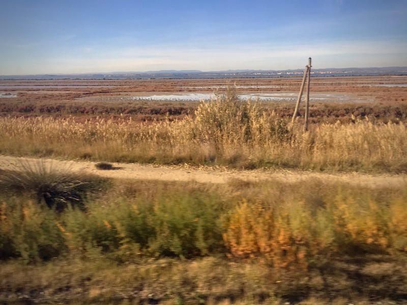 Une étendue de terre et d'eau depuis la fenêtre d'un train #Off2Europe Resfeber Stress © Gilles Denizot 2017
