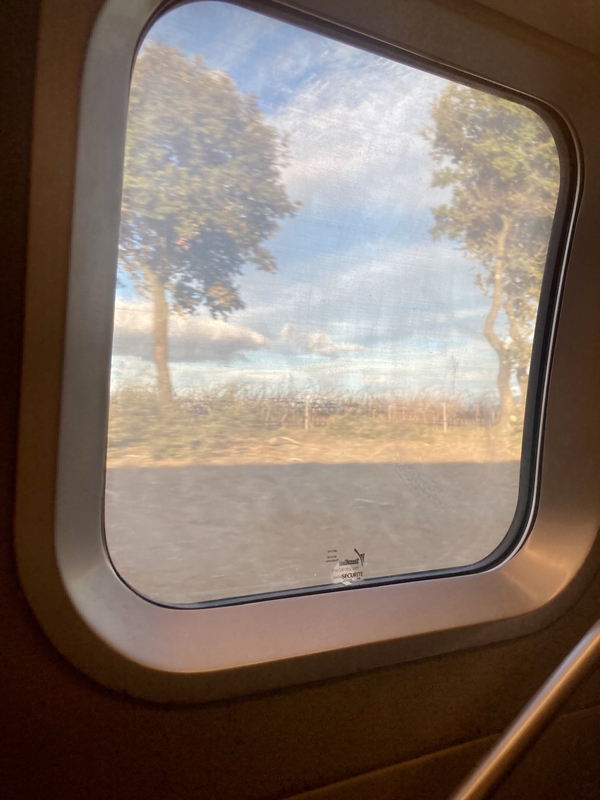 Une fenêtre de train, et au loin, des vignes, deux arbres, des nuages et le ciel #Off2Europe Resfeber Stress © Gilles Denizot 2023