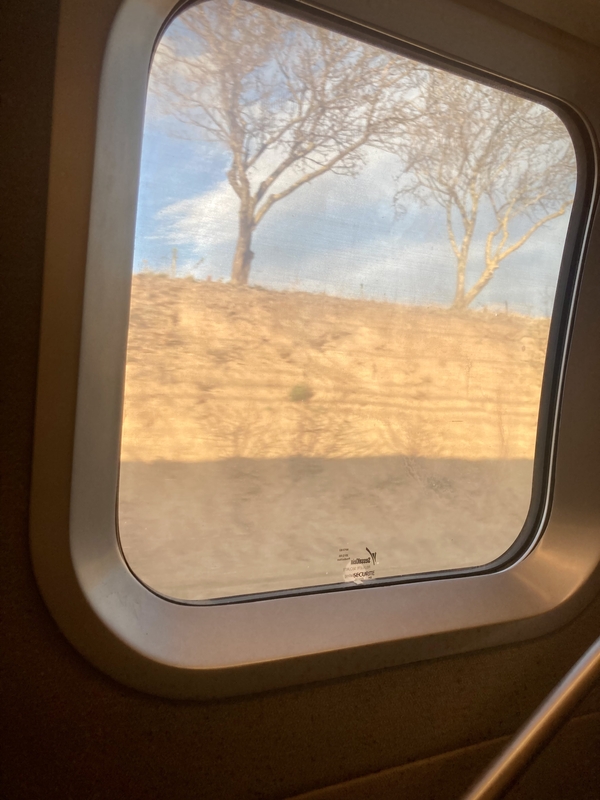 Une fenêtre de train, et au loin, deux arbres, des nuages et le ciel #Off2Europe Resfeber Stress © Gilles Denizot 2023