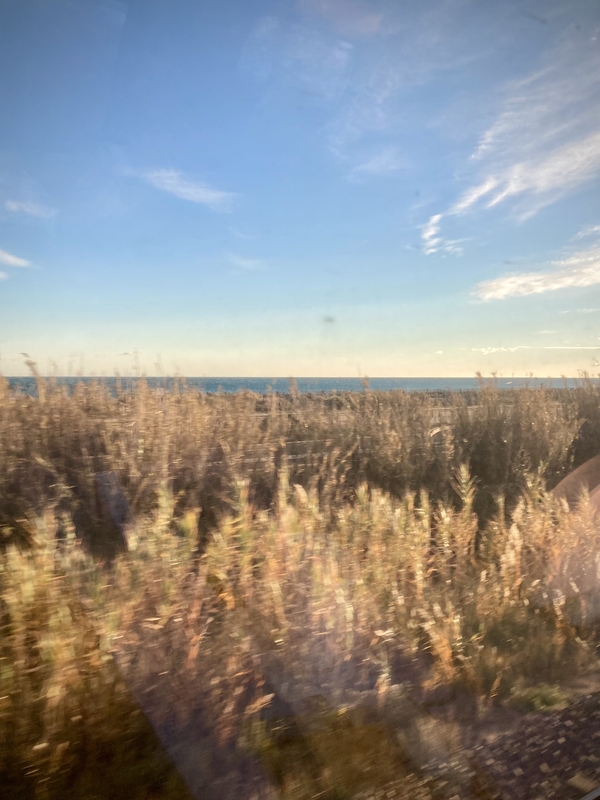Vitre du train, de hautes herbes et l'eau au loin #Off2Europe Resfeber Stress © Gilles Denizot 2023