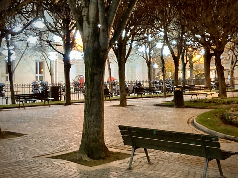Une place de square à Paris, des arbres, un banc et des guirlandes de Noël #Off2Europe Resfeber Stress © Gilles Denizot 2023