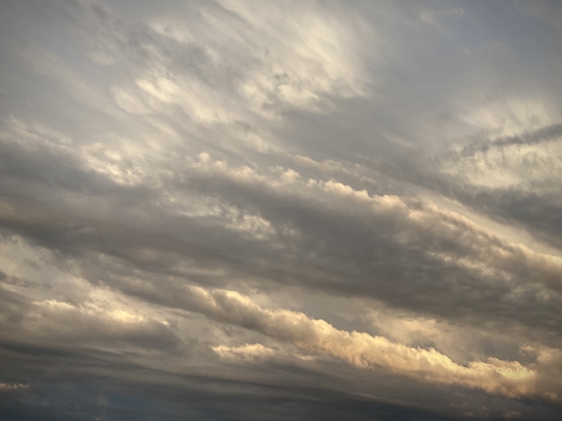 Comme dit Naomi Kawase : "Regardez le ciel" (天、見たけ, Ten, mitake) ©GD24